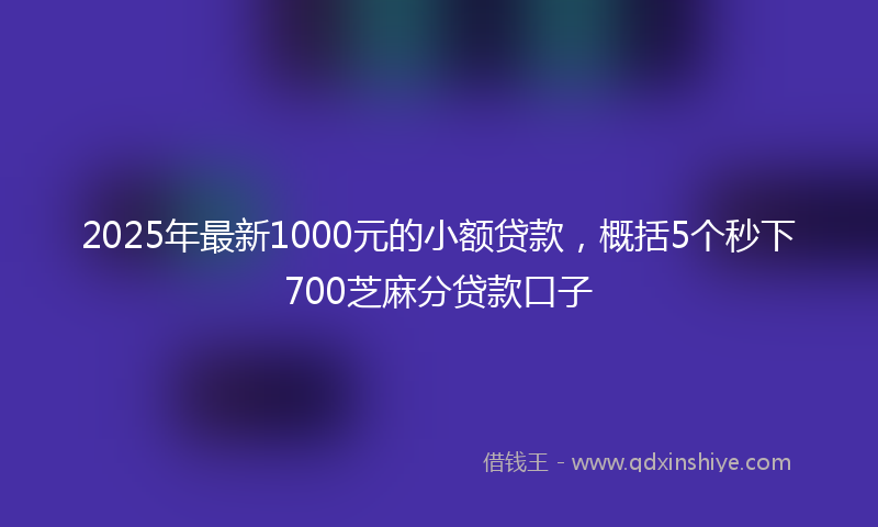 2025年最新1000元的小额贷款，概括5个秒下700芝麻分贷款口子