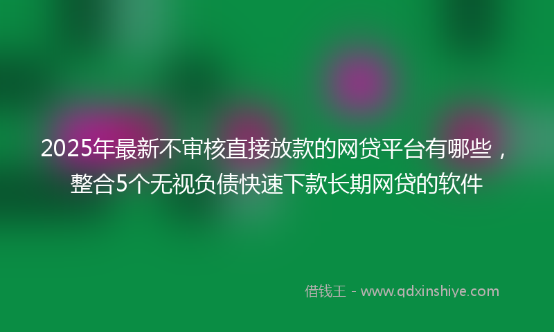 2025年最新不审核直接放款的网贷平台有哪些，整合5个无视负债快速下款长期网贷的软件