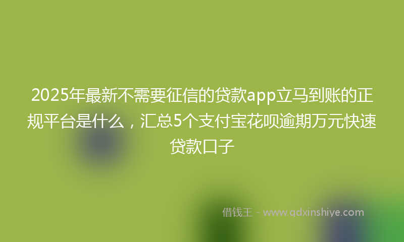 2025年最新不需要征信的贷款app立马到账的正规平台是什么，汇总5个支付宝花呗逾期万元快速贷款口子