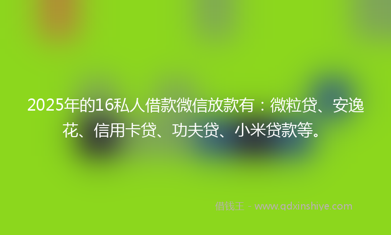 2025年的16私人借款微信放款有：微粒贷、安逸花、信用卡贷、功夫贷、小米贷款等。