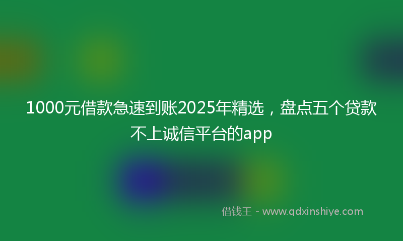 1000元借款急速到账2025年精选，盘点五个贷款不上诚信平台的app