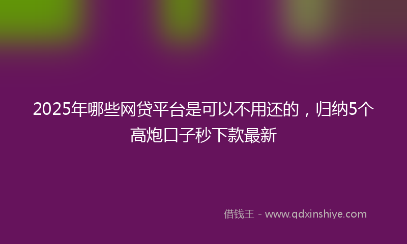 2025年哪些网贷平台是可以不用还的，归纳5个高炮口子秒下款最新