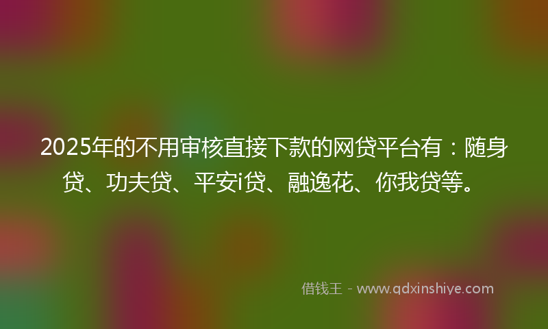 2025年的不用审核直接下款的网贷平台有：随身贷、功夫贷、平安i贷、融逸花、你我贷等。