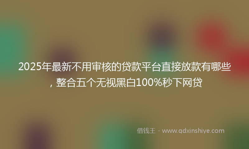 2025年最新不用审核的贷款平台直接放款有哪些，整合五个无视黑白100%秒下网贷