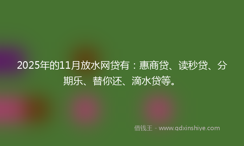 2025年的11月放水网贷有：惠商贷、读秒贷、分期乐、替你还、滴水贷等。