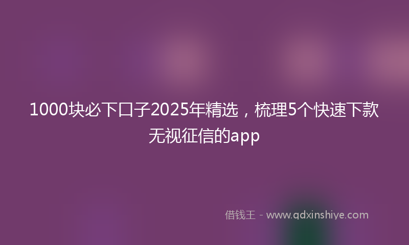 1000块必下口子2025年精选，梳理5个快速下款无视征信的app