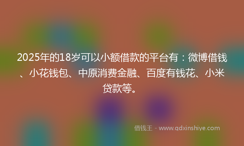 2025年的18岁可以小额借款的平台有：微博借钱、小花钱包、中原消费金融、百度有钱花、小米贷款等。