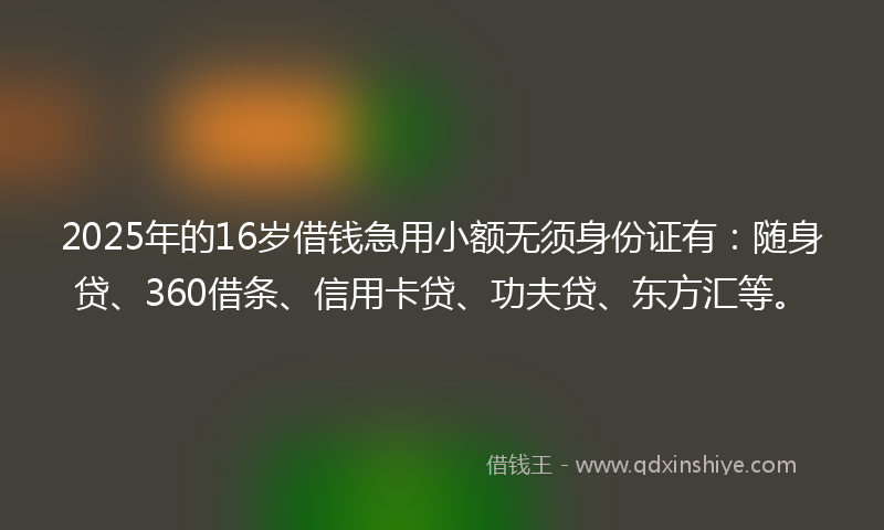 2025年的16岁借钱急用小额无须身份证有：随身贷、360借条、信用卡贷、功夫贷、东方汇等。