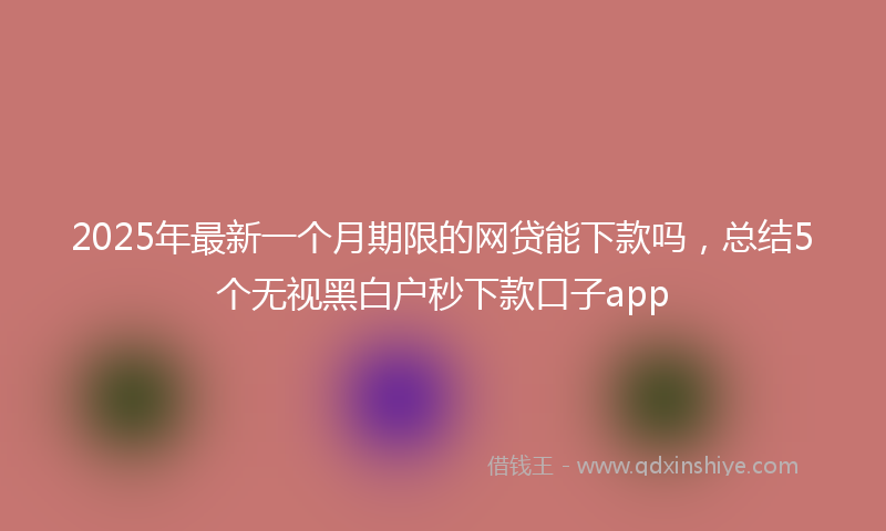 2025年最新一个月期限的网贷能下款吗，总结5个无视黑白户秒下款口子app