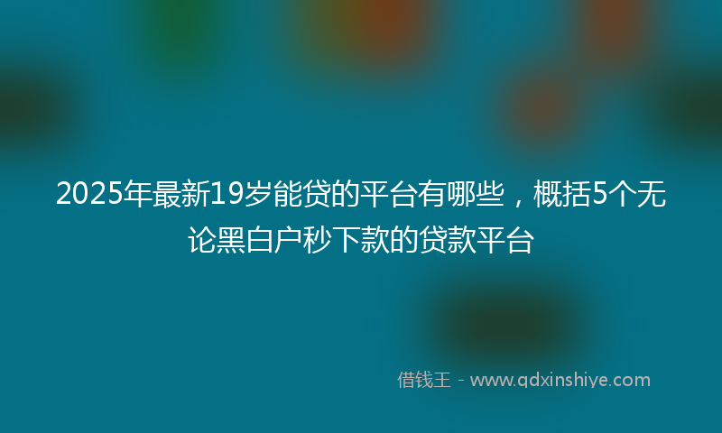 2025年最新19岁能贷的平台有哪些，概括5个无论黑白户秒下款的贷款平台
