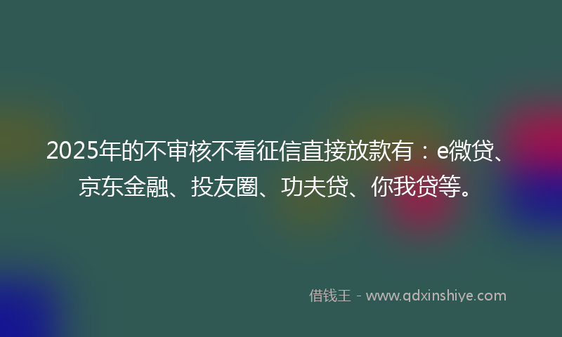 2025年的不审核不看征信直接放款有：e微贷、京东金融、投友圈、功夫贷、你我贷等。