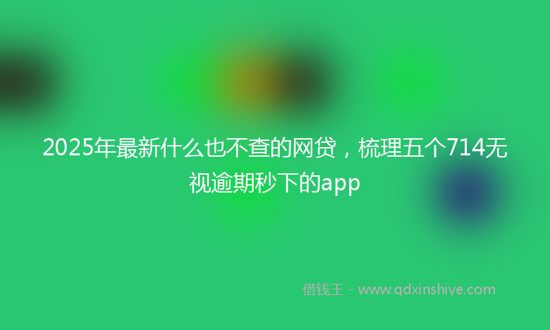 2025年最新什么也不查的网贷，梳理五个714无视逾期秒下的app