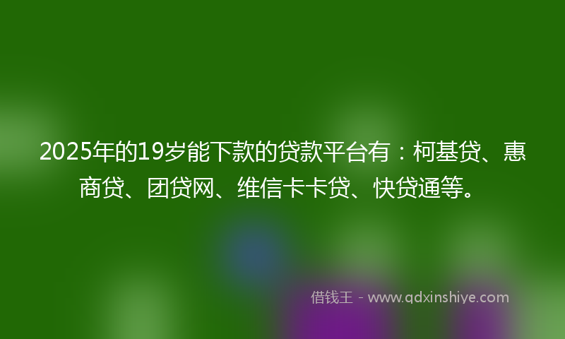 2025年的19岁能下款的贷款平台有：柯基贷、惠商贷、团贷网、维信卡卡贷、快贷通等。