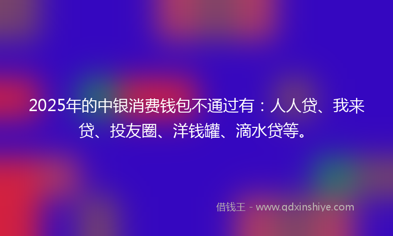 2025年的中银消费钱包不通过有：人人贷、我来贷、投友圈、洋钱罐、滴水贷等。