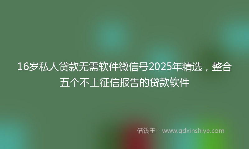16岁私人贷款无需软件微信号2025年精选，整合五个不上征信报告的贷款软件
