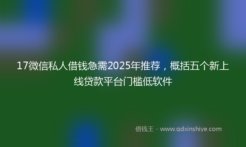 17微信私人借钱急需2025年推荐，概括五个新上线贷款平台门槛低软件