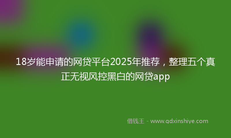 18岁能申请的网贷平台2025年推荐，整理五个真正无视风控黑白的网贷app