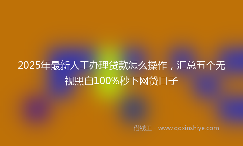 2025年最新人工办理贷款怎么操作，汇总五个无视黑白100%秒下网贷口子