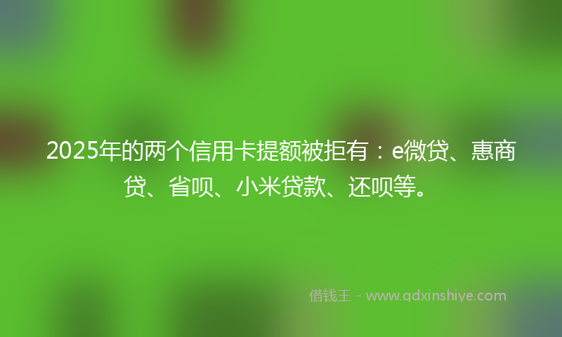 2025年的两个信用卡提额被拒有：e微贷、惠商贷、省呗、小米贷款、还呗等。