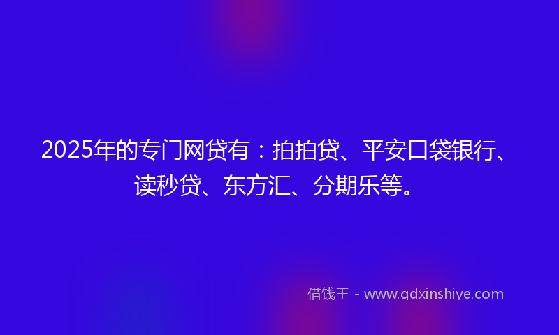 2025年的专门网贷有：拍拍贷、平安口袋银行、读秒贷、东方汇、分期乐等。