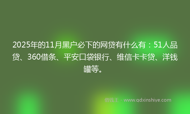 2025年的11月黑户必下的网贷有什么有：51人品贷、360借条、平安口袋银行、维信卡卡贷、洋钱罐等。