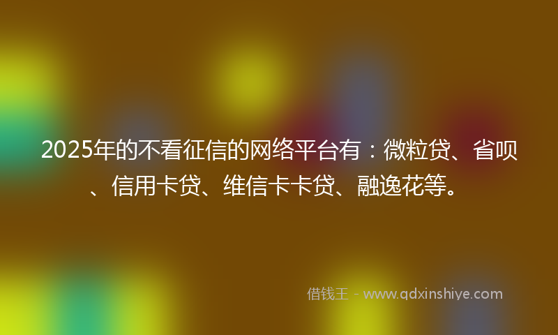 2025年的不看征信的网络平台有：微粒贷、省呗、信用卡贷、维信卡卡贷、融逸花等。