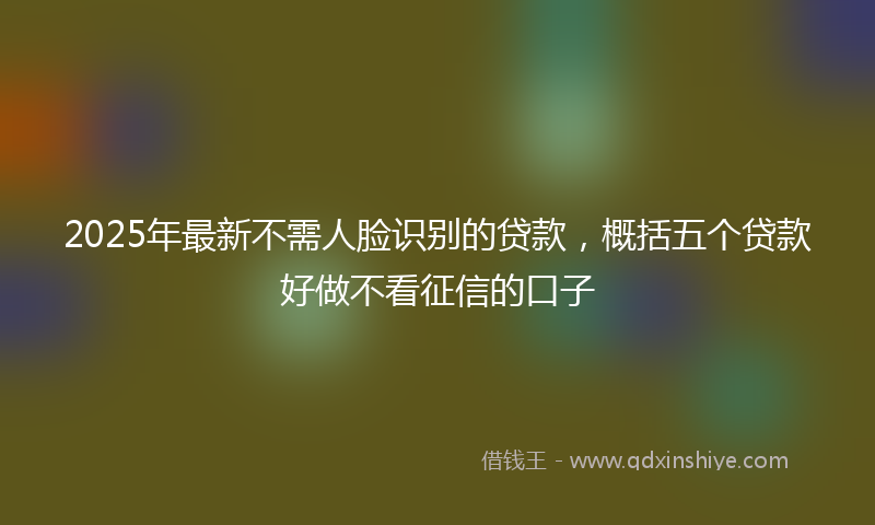 2025年最新不需人脸识别的贷款，概括五个贷款好做不看征信的口子