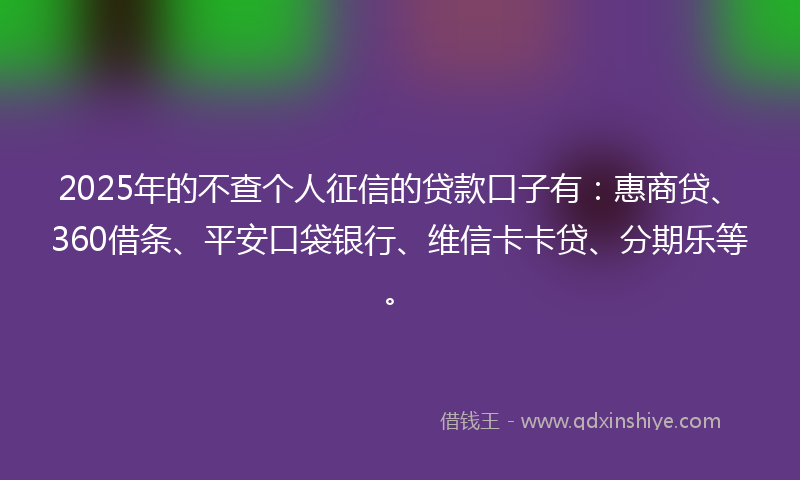 2025年的不查个人征信的贷款口子有：惠商贷、360借条、平安口袋银行、维信卡卡贷、分期乐等。