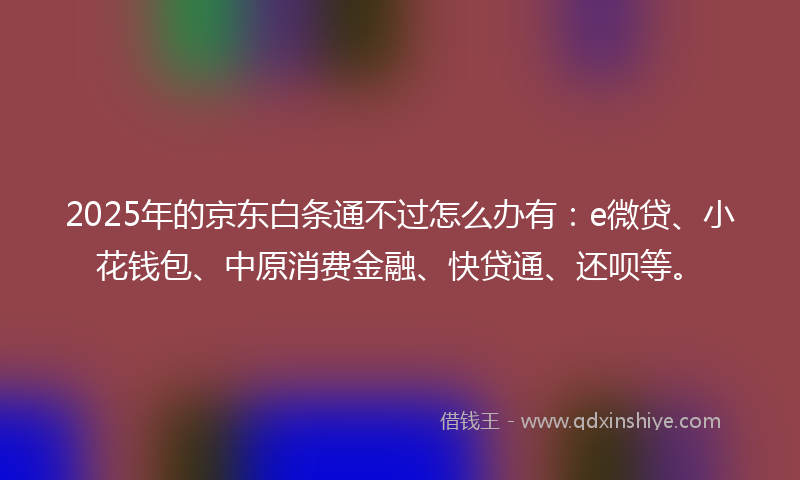 2025年的京东白条通不过怎么办有：e微贷、小花钱包、中原消费金融、快贷通、还呗等。