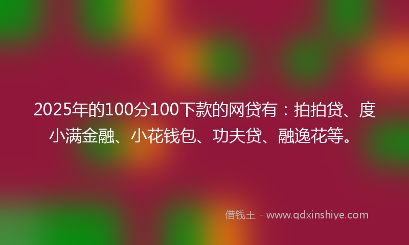 2025年的100分100下款的网贷有：拍拍贷、度小满金融、小花钱包、功夫贷、融逸花等。