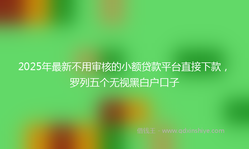 2025年最新不用审核的小额贷款平台直接下款，罗列五个无视黑白户口子