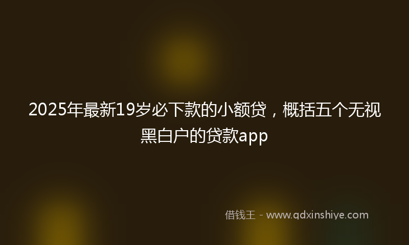 2025年最新19岁必下款的小额贷，概括五个无视黑白户的贷款app