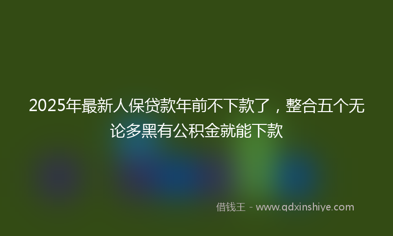 2025年最新人保贷款年前不下款了，整合五个无论多黑有公积金就能下款