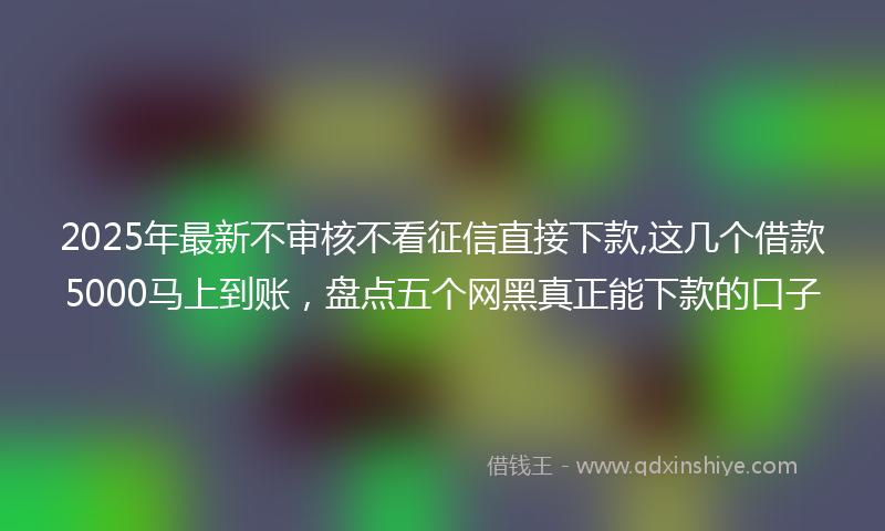 2025年最新不审核不看征信直接下款,这几个借款5000马上到账，盘点五个网黑真正能下款的口子