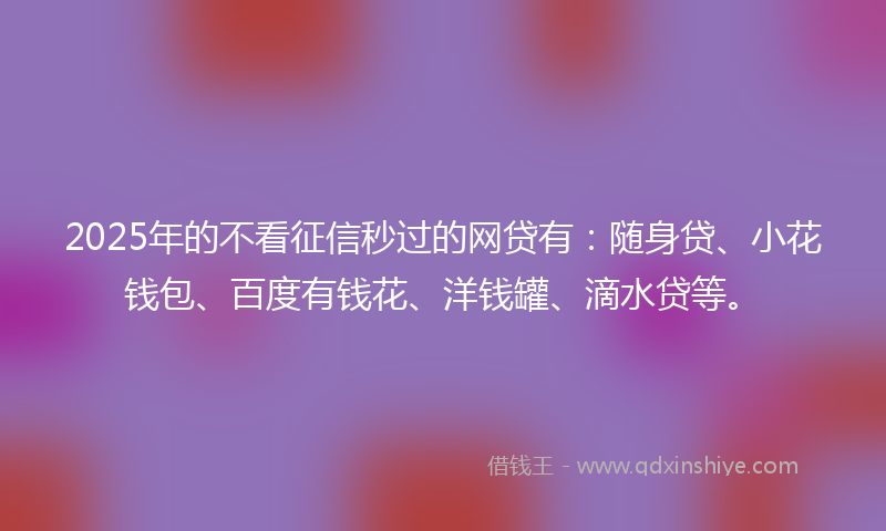 2025年的不看征信秒过的网贷有：随身贷、小花钱包、百度有钱花、洋钱罐、滴水贷等。