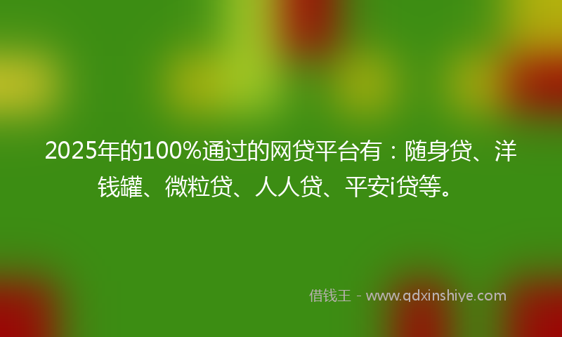 2025年的100%通过的网贷平台有：随身贷、洋钱罐、微粒贷、人人贷、平安i贷等。