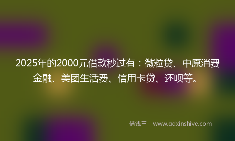 2025年的2000元借款秒过有：微粒贷、中原消费金融、美团生活费、信用卡贷、还呗等。