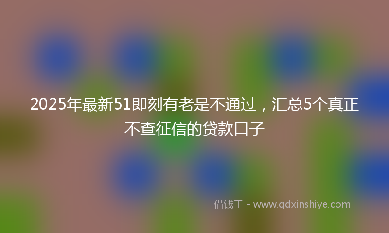 2025年最新51即刻有老是不通过，汇总5个真正不查征信的贷款口子