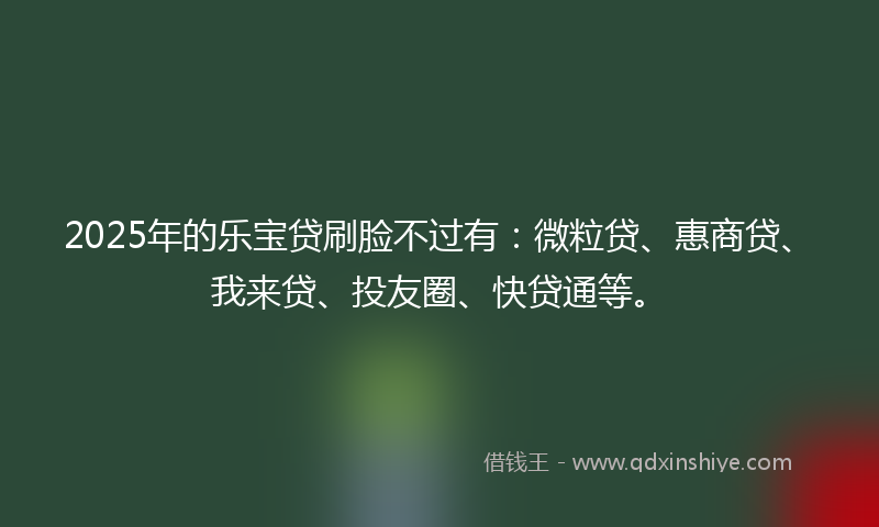 2025年的乐宝贷刷脸不过有：微粒贷、惠商贷、我来贷、投友圈、快贷通等。