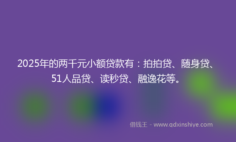2025年的两千元小额贷款有：拍拍贷、随身贷、51人品贷、读秒贷、融逸花等。