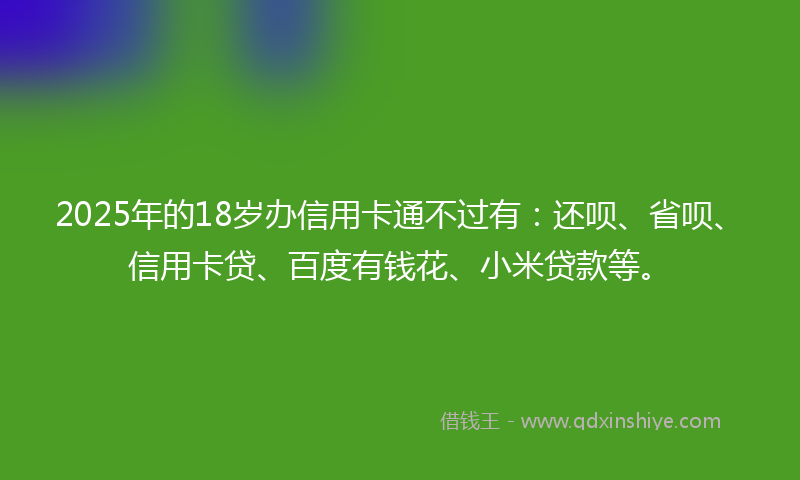 2025年的18岁办信用卡通不过有：还呗、省呗、信用卡贷、百度有钱花、小米贷款等。