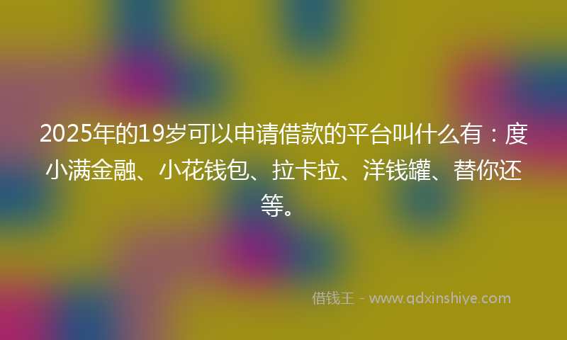 2025年的19岁可以申请借款的平台叫什么有：度小满金融、小花钱包、拉卡拉、洋钱罐、替你还等。