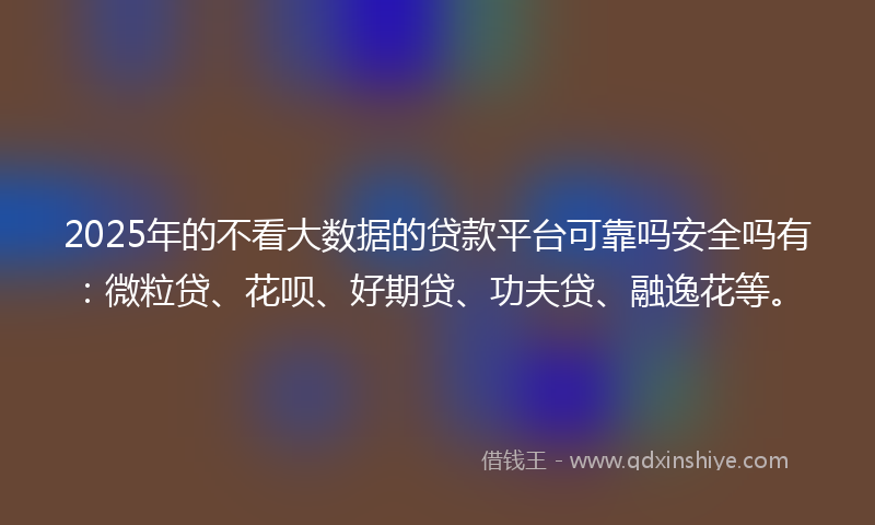 2025年的不看大数据的贷款平台可靠吗安全吗有：微粒贷、花呗、好期贷、功夫贷、融逸花等。