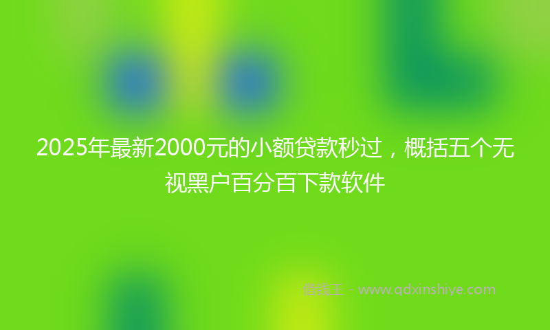2025年最新2000元的小额贷款秒过，概括五个无视黑户百分百下款软件