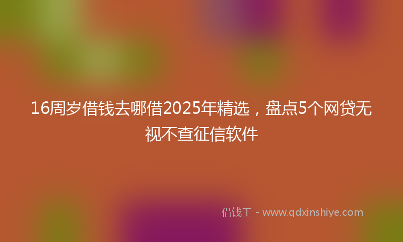 16周岁借钱去哪借2025年精选，盘点5个网贷无视不查征信软件