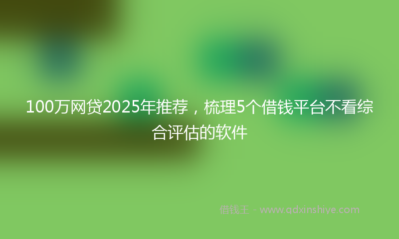 100万网贷2025年推荐，梳理5个借钱平台不看综合评估的软件