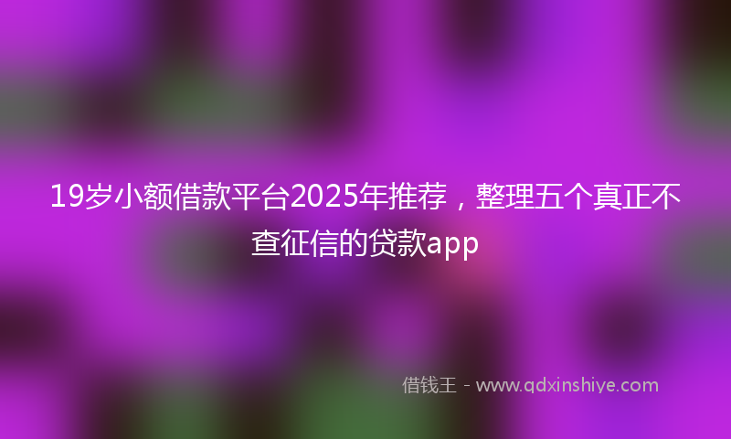 19岁小额借款平台2025年推荐，整理五个真正不查征信的贷款app
