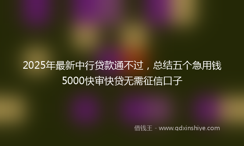 2025年最新中行贷款通不过，总结五个急用钱5000快审快贷无需征信口子