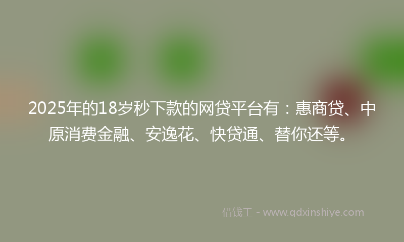 2025年的18岁秒下款的网贷平台有：惠商贷、中原消费金融、安逸花、快贷通、替你还等。