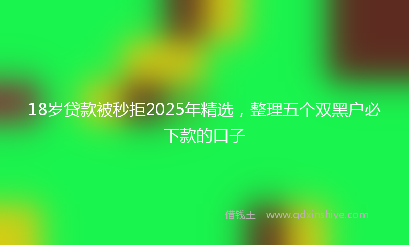 18岁贷款被秒拒2025年精选，整理五个双黑户必下款的口子